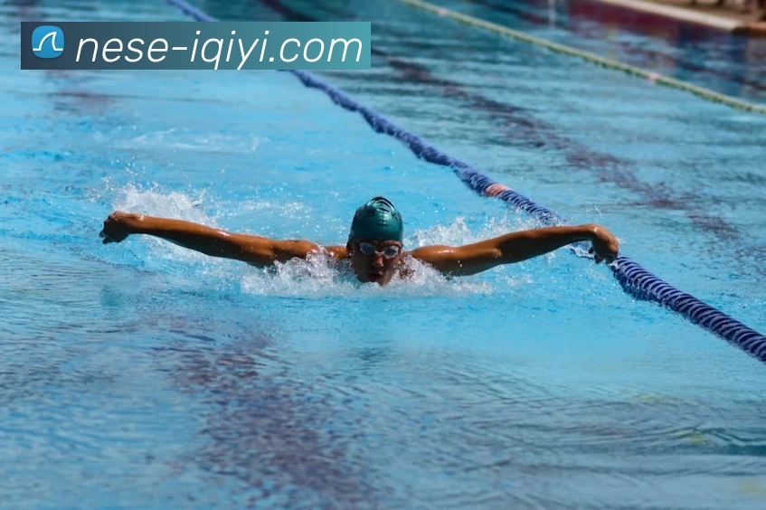 多媒体互动体验